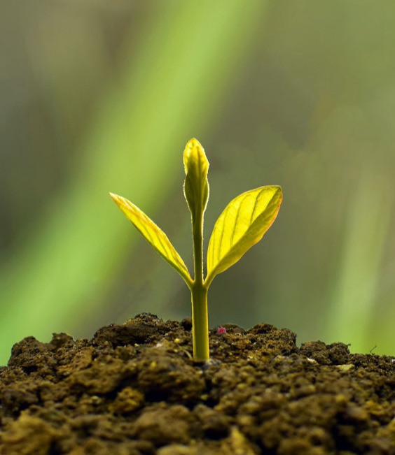 placement de trésorerie à Paris 15